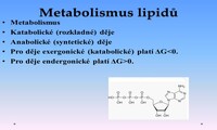 Metabolismus a biosyntéza lipidů