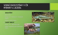 Vodní ekosystémy v ČR - obratlovci