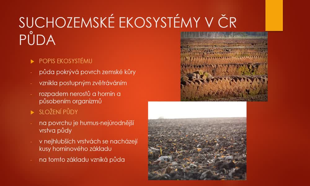 1. náhled výukového kurzu Suchozemské ekosystémy v ČR - půda a les