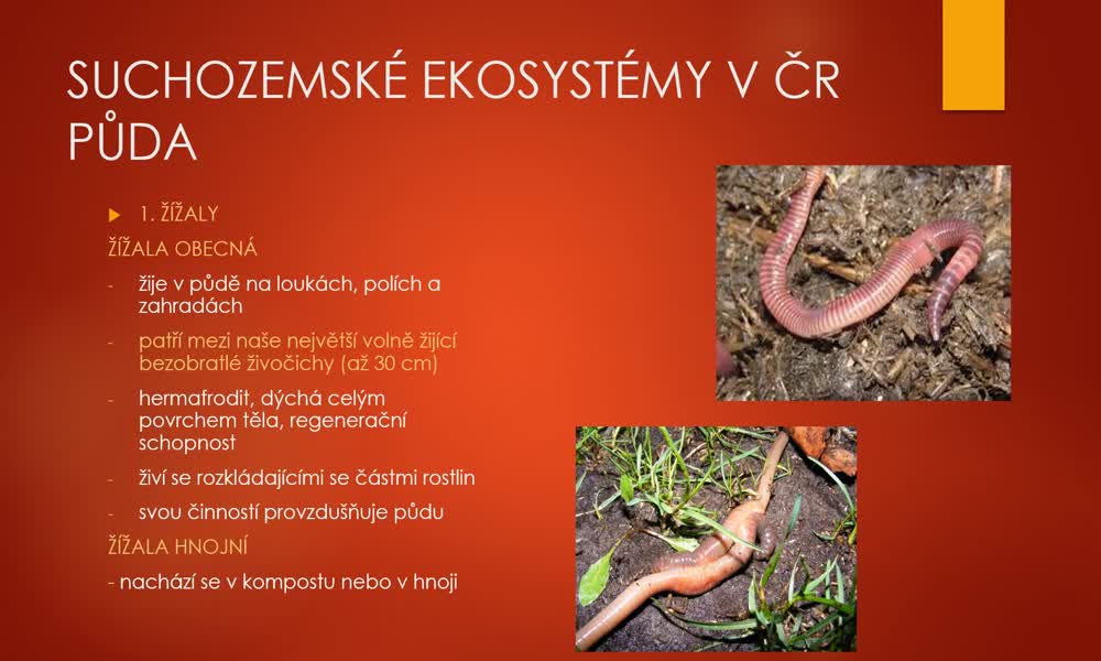 2. náhled výukového kurzu Suchozemské ekosystémy v ČR - půda a les