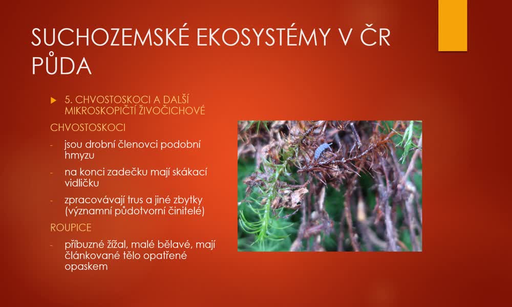 4. náhled výukového kurzu Suchozemské ekosystémy v ČR - půda a les