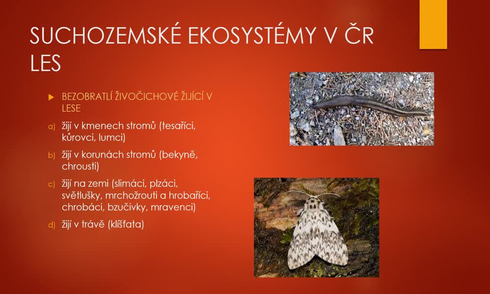 5. náhled výukového kurzu Suchozemské ekosystémy v ČR - půda a les
