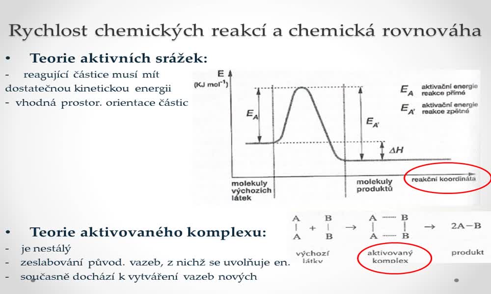 4. náhled výukového kurzu Rychlost chemických reakcí a chemická rovnováha