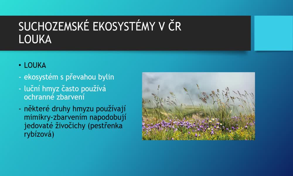 1. náhled výukového kurzu Suchozemské ekosystémy v ČR -  louka, step, pastvina 