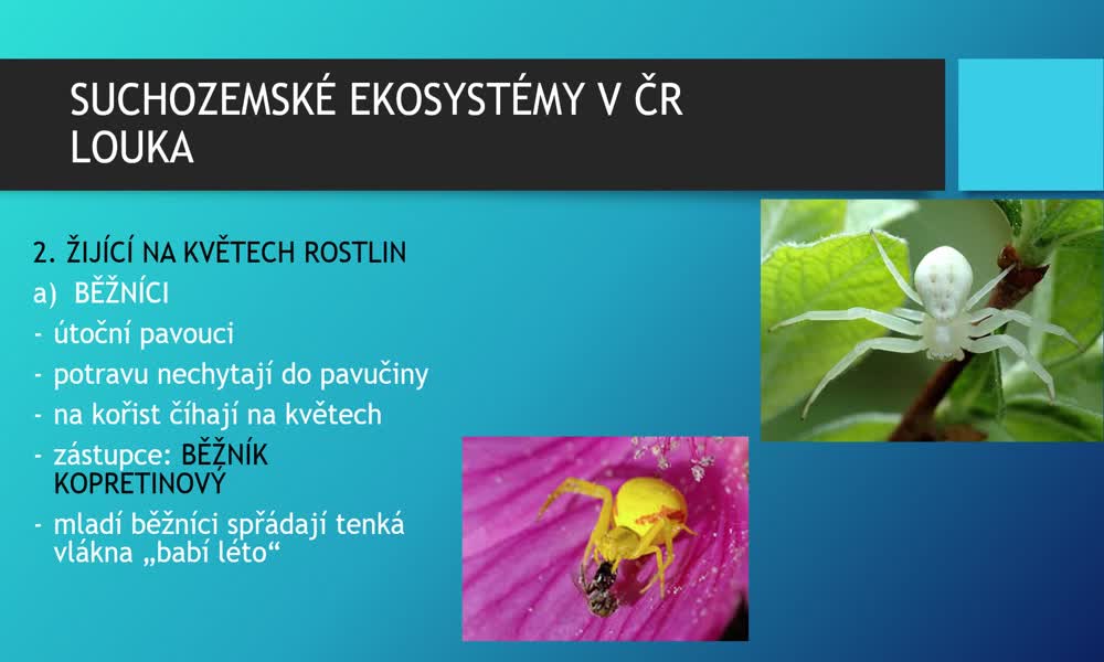 4. náhled výukového kurzu Suchozemské ekosystémy v ČR -  louka, step, pastvina 