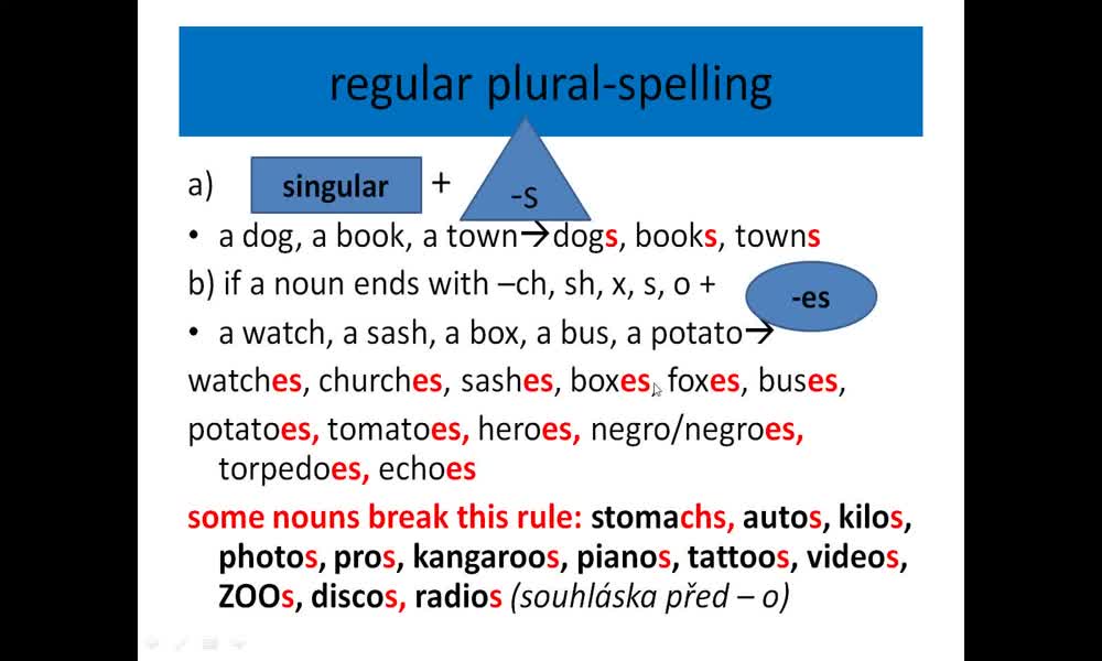 2. náhled výukového kurzu Plural nouns
