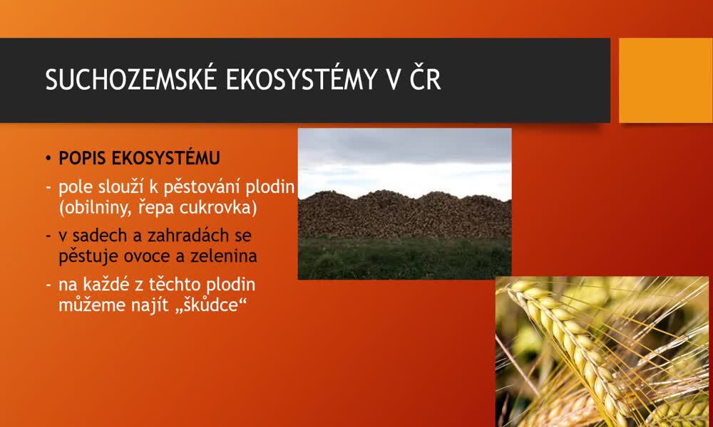 1. náhled výukového kurzu Suchozemské ekosystémy v ČR - pole, sady, zahrady 