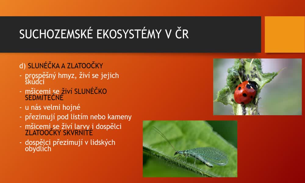 3. náhled výukového kurzu Suchozemské ekosystémy v ČR - pole, sady, zahrady 