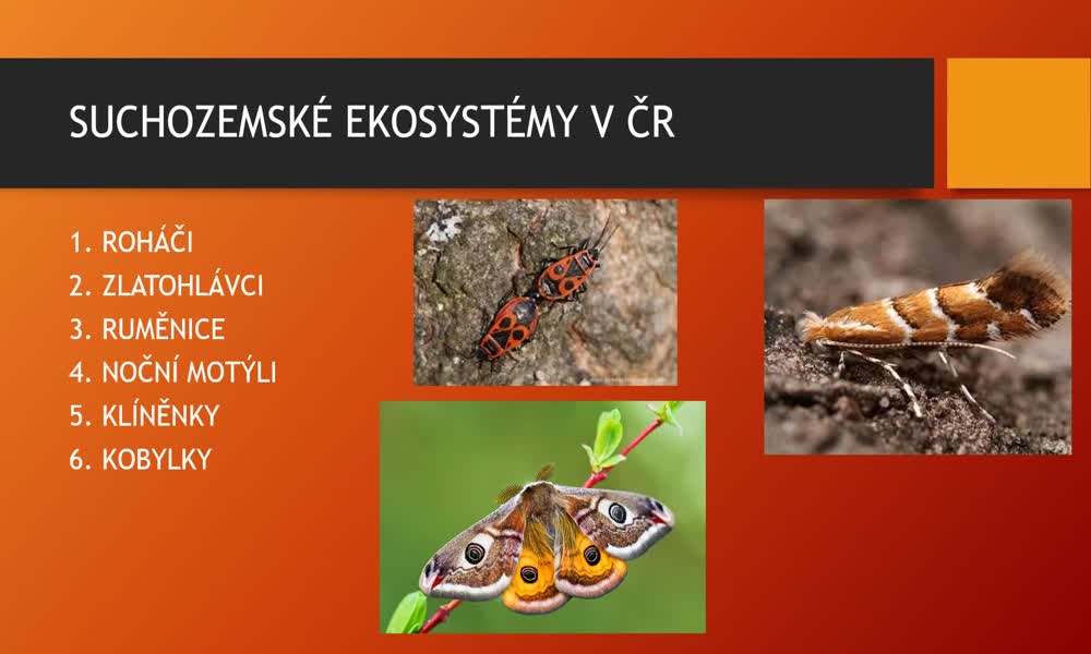 1. náhled výukového kurzu Suchozemské ekosystémy v ČR - parky, městská zeleň a lidská obydlí 