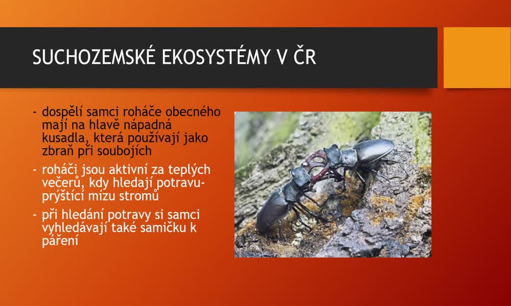2. náhled výukového kurzu Suchozemské ekosystémy v ČR - parky, městská zeleň a lidská obydlí 