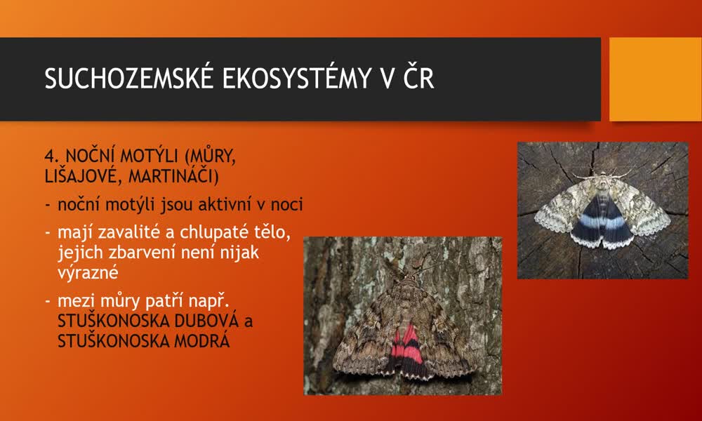 3. náhled výukového kurzu Suchozemské ekosystémy v ČR - parky, městská zeleň a lidská obydlí 
