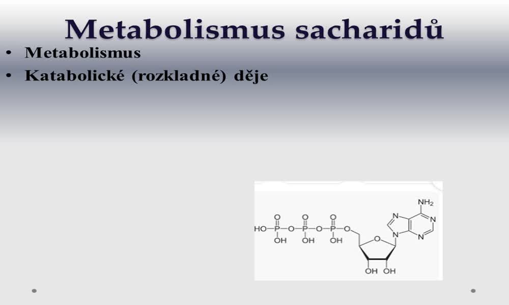 1. náhled výukového kurzu Metabolismus a biosyntéza sacharidů 