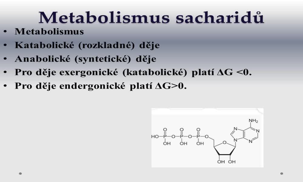 2. náhled výukového kurzu Metabolismus a biosyntéza sacharidů 