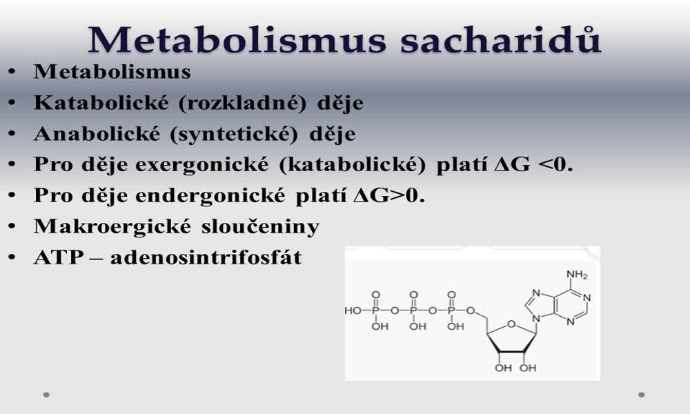 3. náhled výukového kurzu Metabolismus a biosyntéza sacharidů 