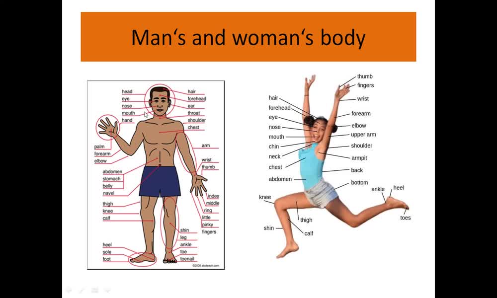 3. náhled výukového kurzu The body
