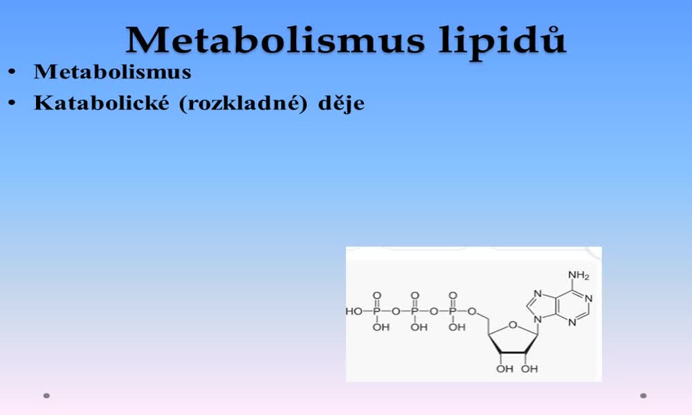 1. náhled výukového kurzu Metabolismus a biosyntéza lipidů