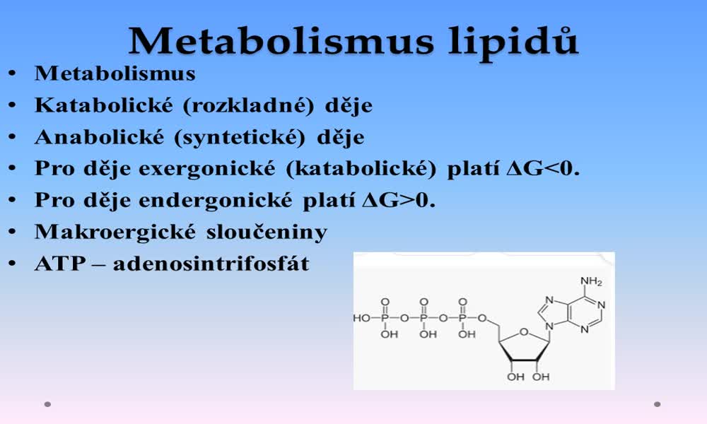 3. náhled výukového kurzu Metabolismus a biosyntéza lipidů