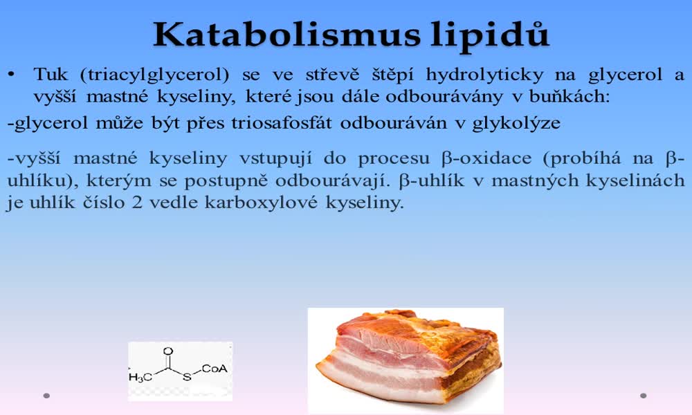 4. náhled výukového kurzu Metabolismus a biosyntéza lipidů