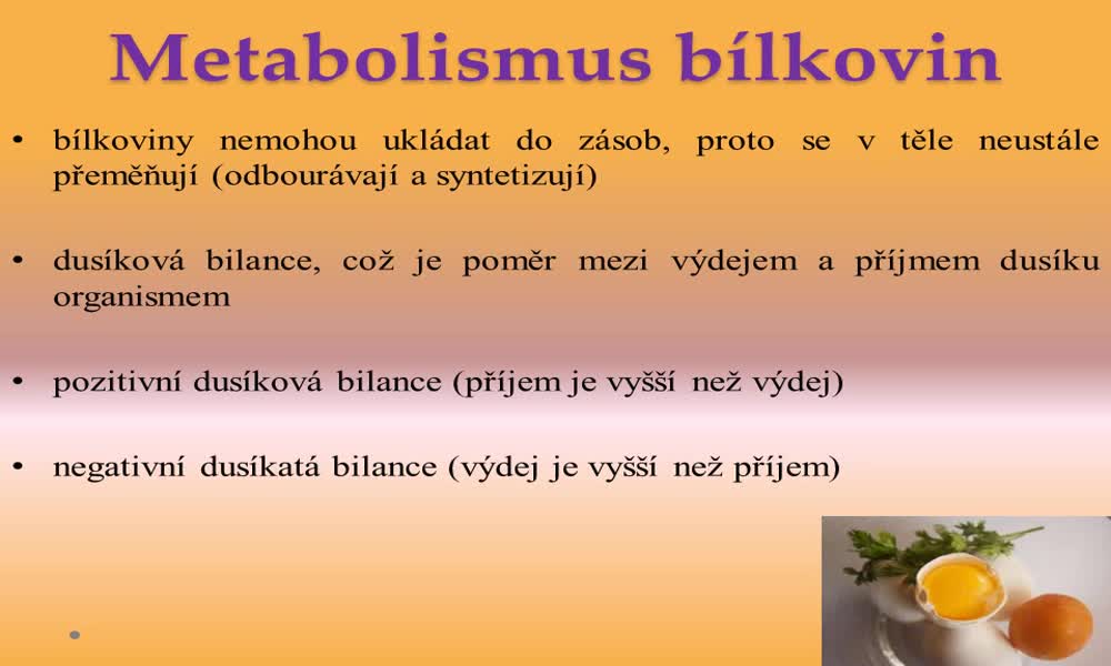 4. náhled výukového kurzu Metabolismus bílkovin