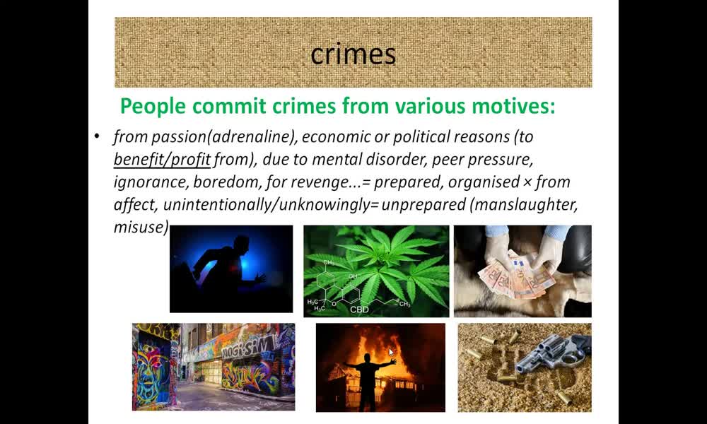 3. náhled výukového kurzu Crime