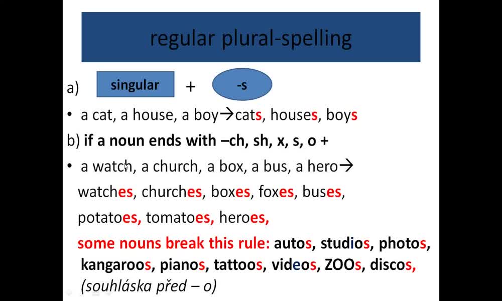 1. náhled výukového kurzu Plural nouns