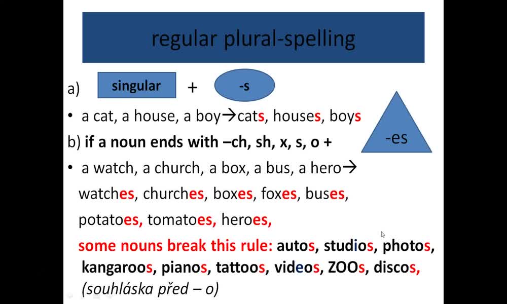 2. náhled výukového kurzu Plural nouns