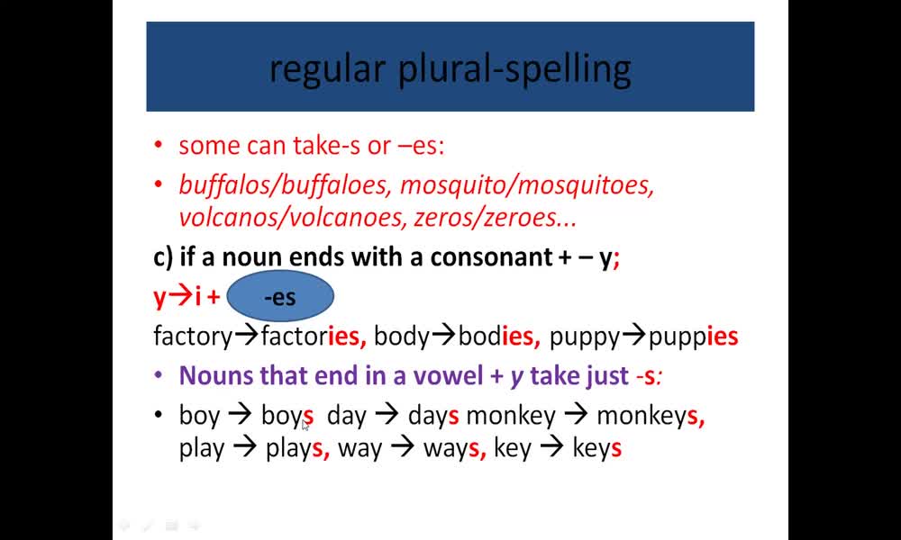 4. náhled výukového kurzu Plural nouns