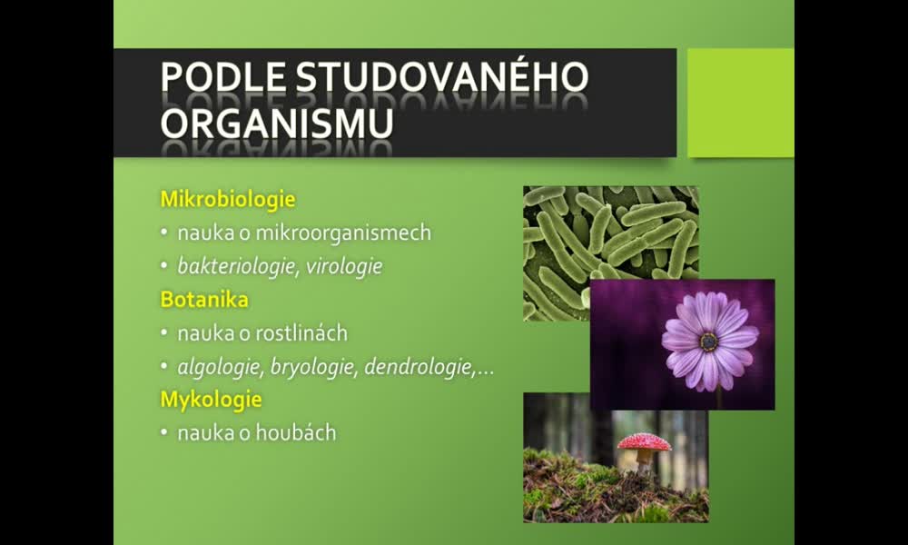 4. náhled výukového kurzu Biologické vědy a metody