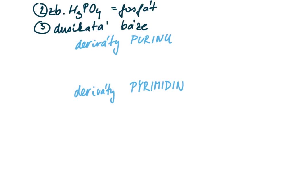 4. náhled výukového kurzu Nukleové kyseliny (Barbora S.)