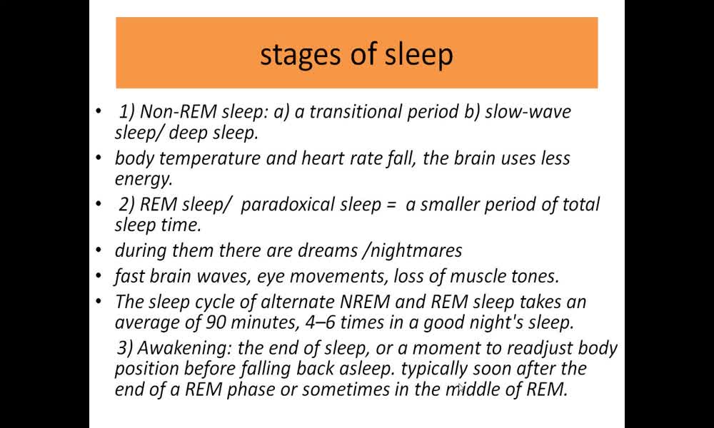 2. náhled výukového kurzu Sleep