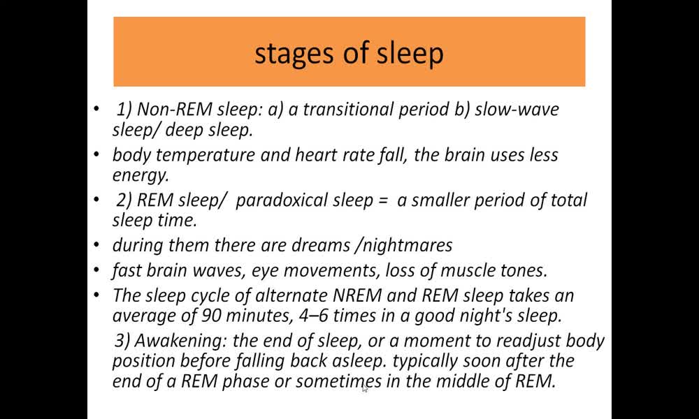 3. náhled výukového kurzu Sleep