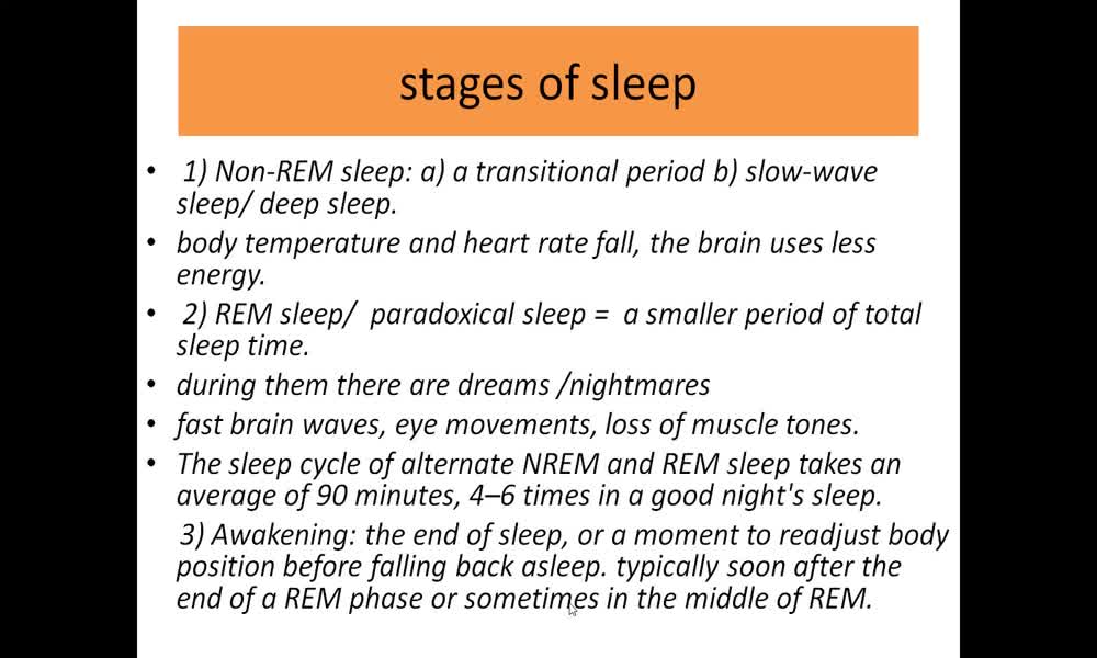 4. náhled výukového kurzu Sleep
