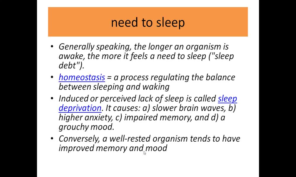 5. náhled výukového kurzu Sleep