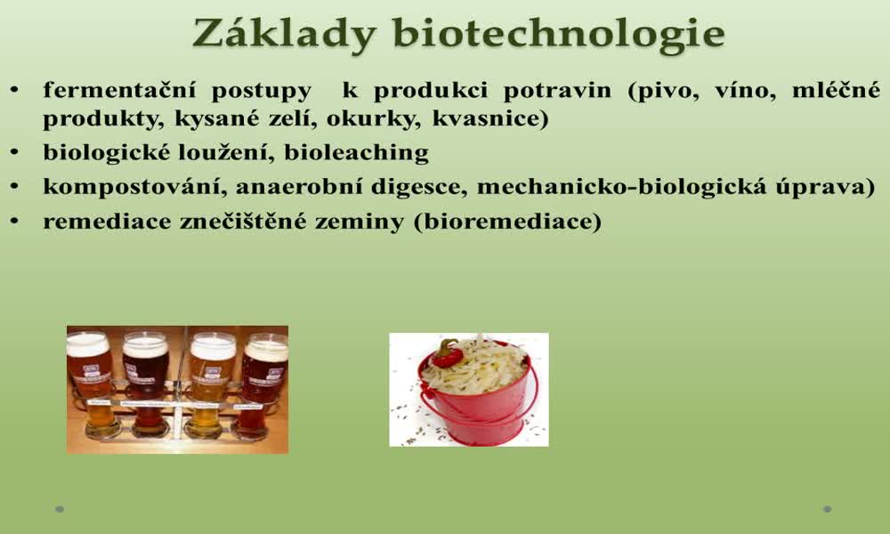 2. náhled výukového kurzu Základy biotechnologie