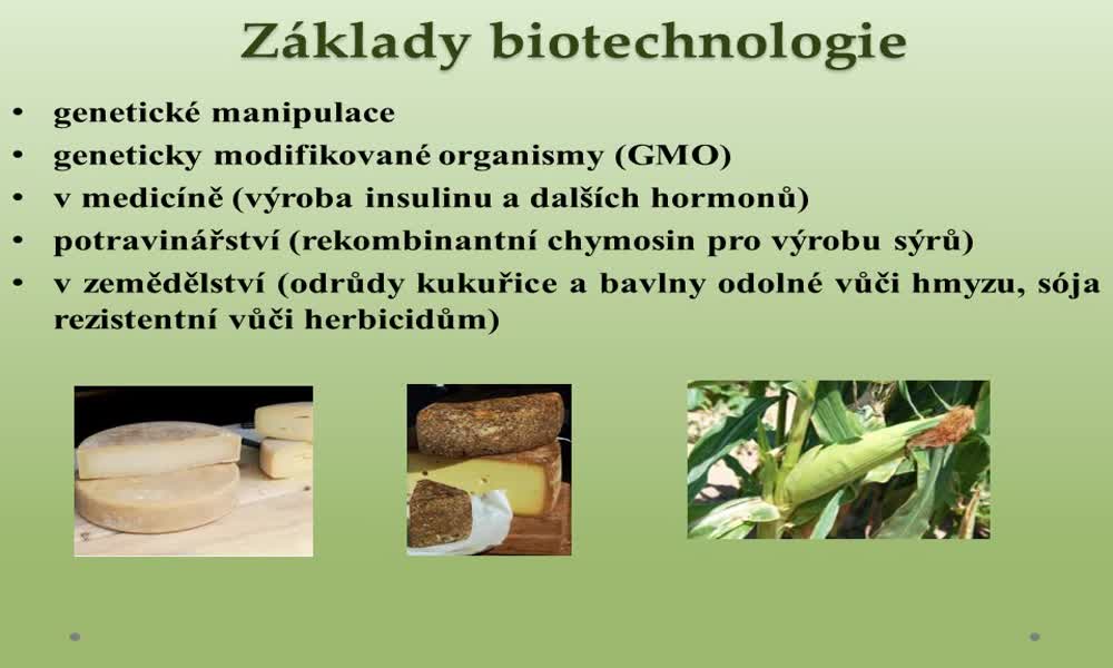 3. náhled výukového kurzu Základy biotechnologie