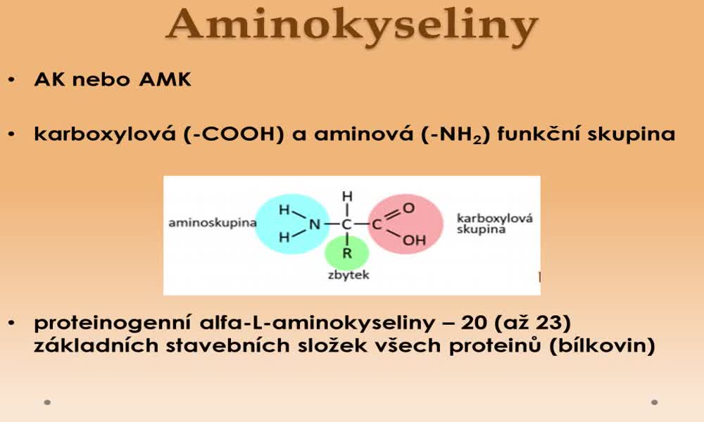 1. náhled výukového kurzu Aminokyseliny