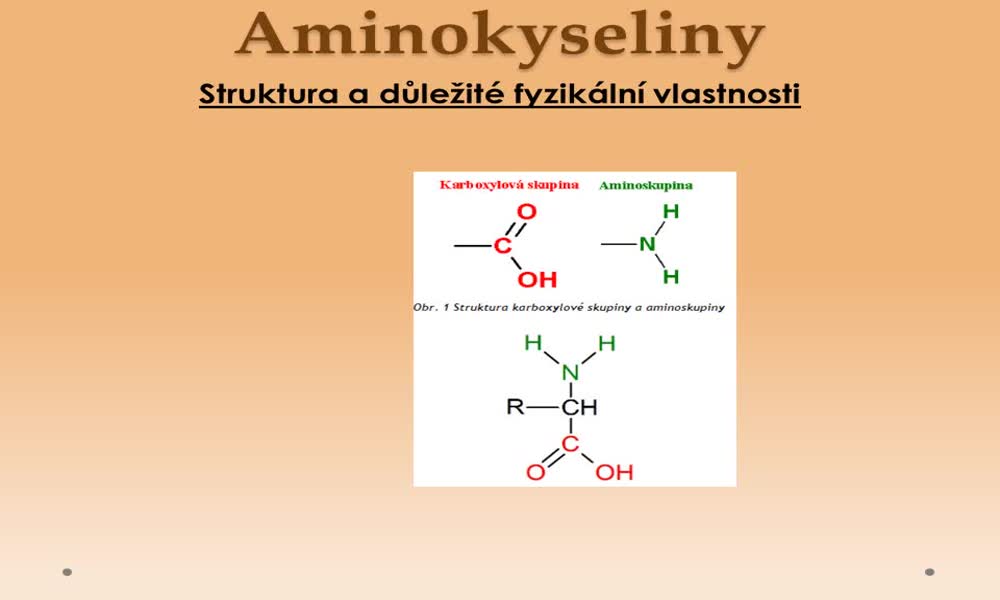 2. náhled výukového kurzu Aminokyseliny