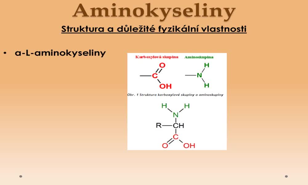 3. náhled výukového kurzu Aminokyseliny