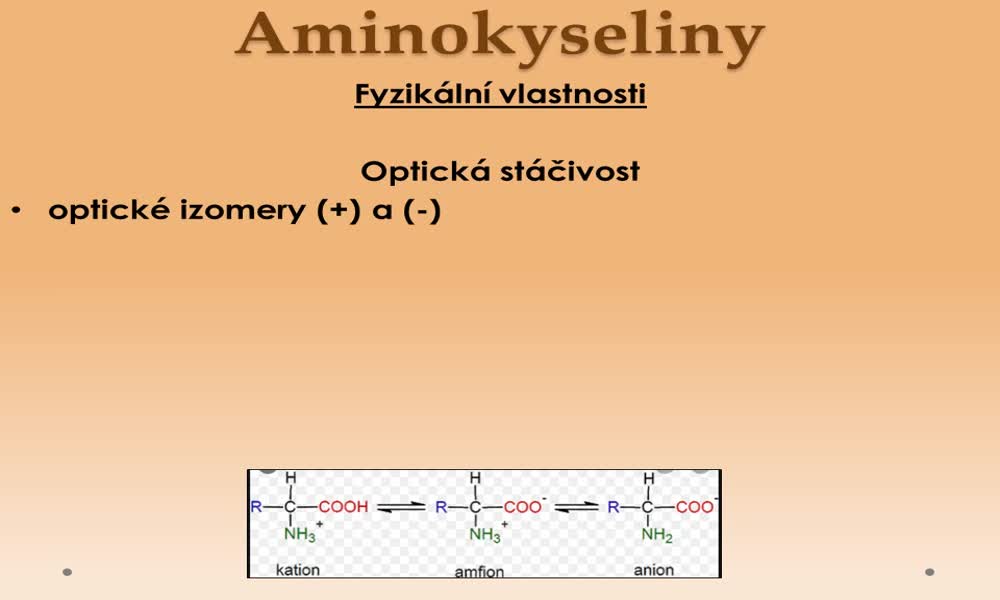 4. náhled výukového kurzu Aminokyseliny
