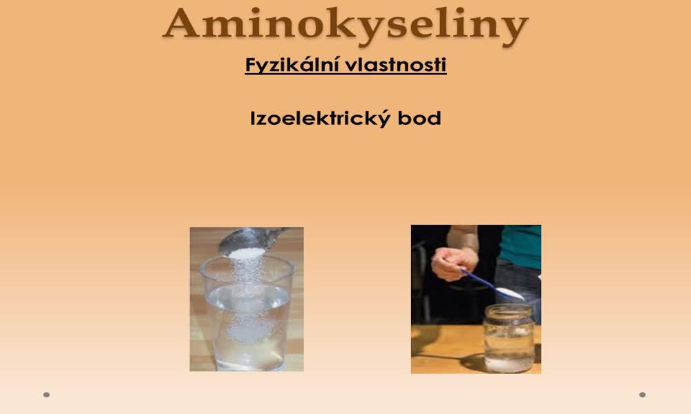 5. náhled výukového kurzu Aminokyseliny
