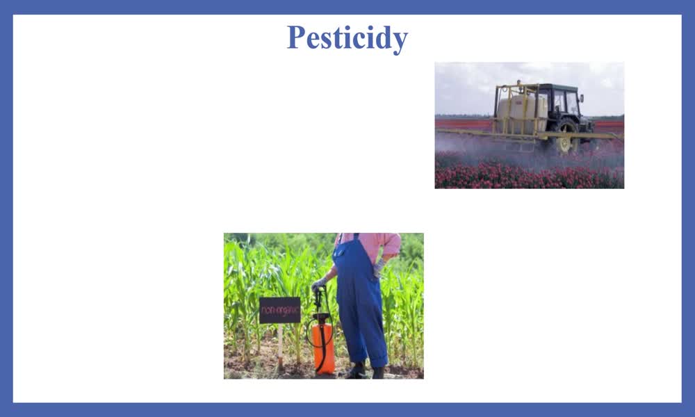 5. náhled výukového kurzu Detergenty a pesticidy, insekticidy