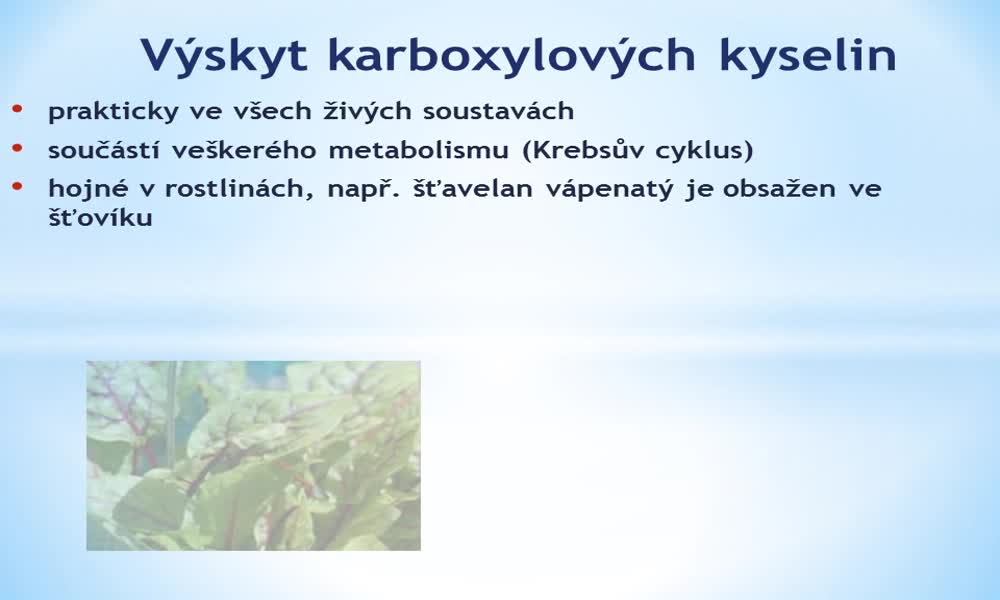 3. náhled výukového kurzu Karboxylové kyseliny