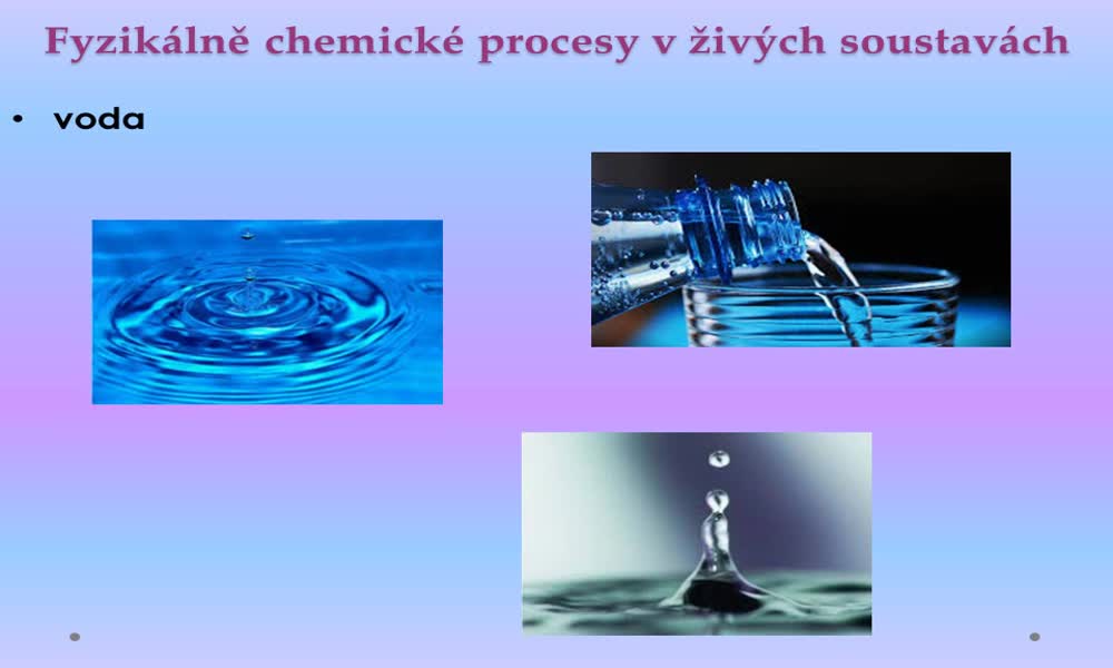 3. náhled výukového kurzu Fyzikálně chemické procesy v živých soustavách
