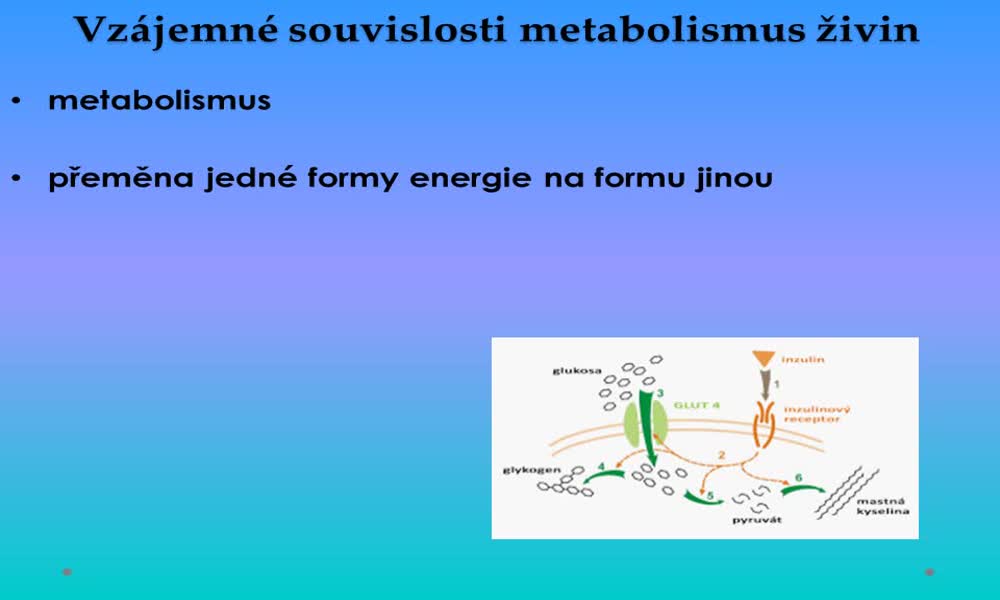 1. náhled výukového kurzu Vzájemné souvislosti metabolismus živin