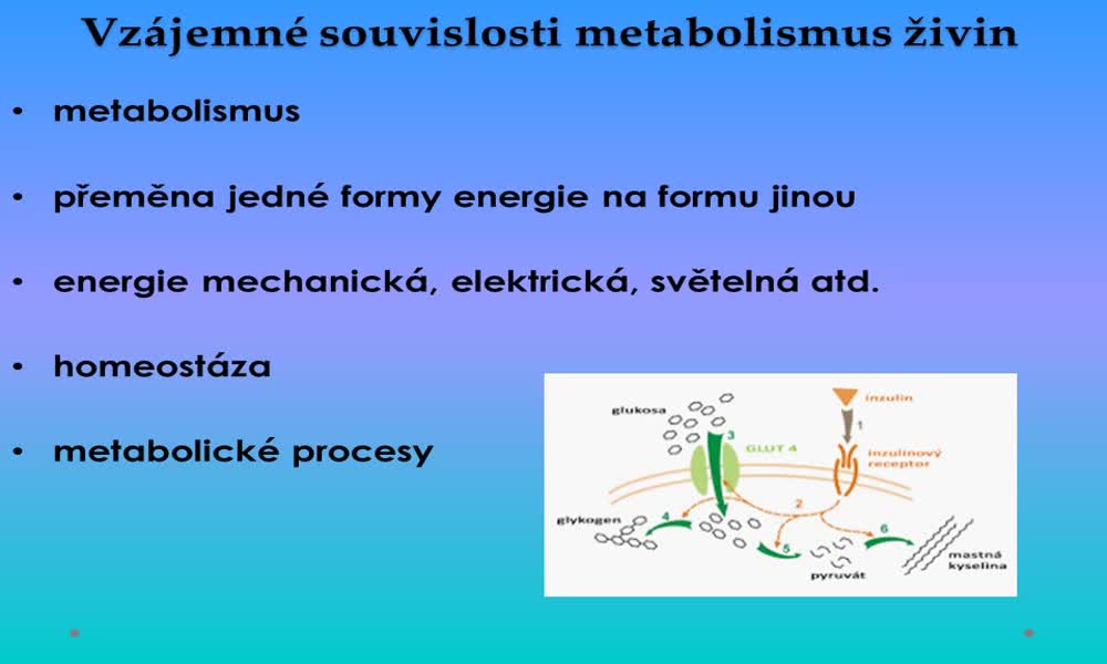 2. náhled výukového kurzu Vzájemné souvislosti metabolismus živin