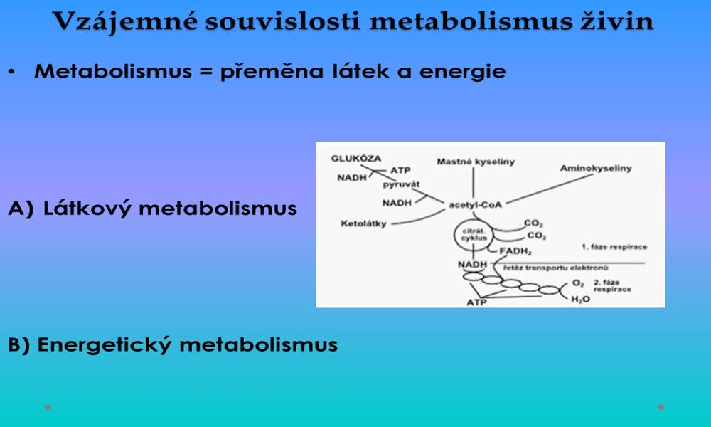 3. náhled výukového kurzu Vzájemné souvislosti metabolismus živin
