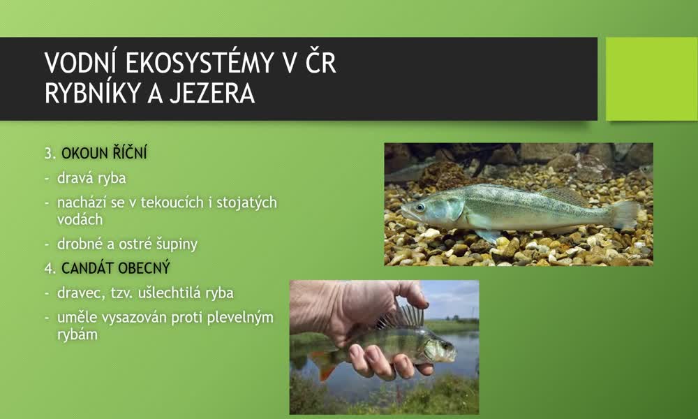 2. náhled výukového kurzu Vodní ekosystémy v ČR - obratlovci