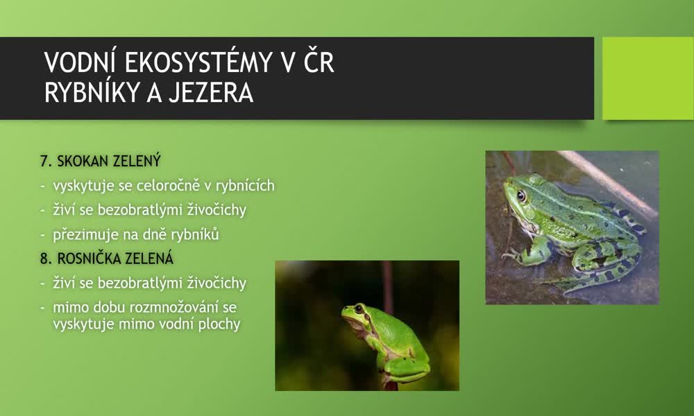 3. náhled výukového kurzu Vodní ekosystémy v ČR - obratlovci