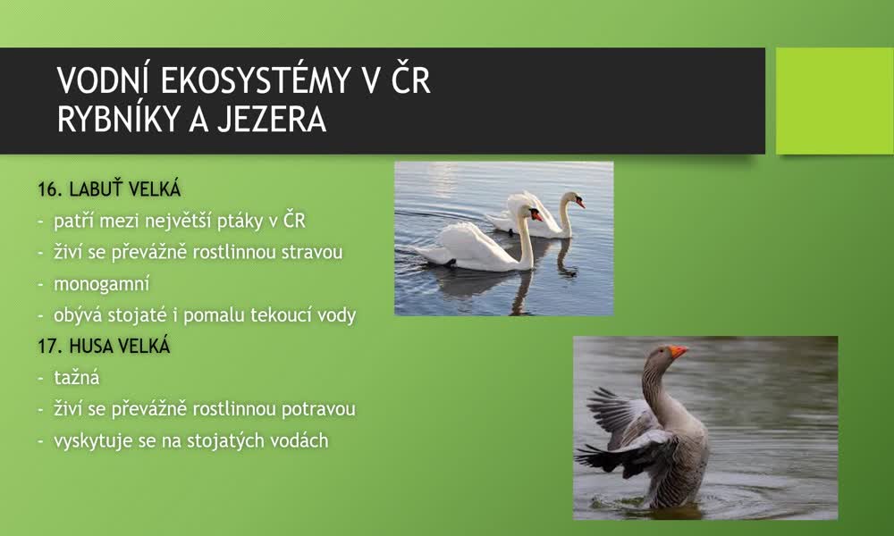 5. náhled výukového kurzu Vodní ekosystémy v ČR - obratlovci