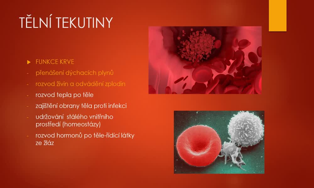 1. náhled výukového kurzu Tělní tekutiny, imunita